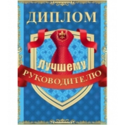Диплом "Лучшему руководителю"  