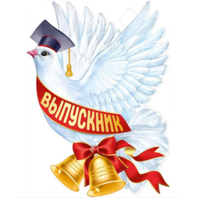 Плакат, Голубь Выпускник, 44*60 см, 1 шт.