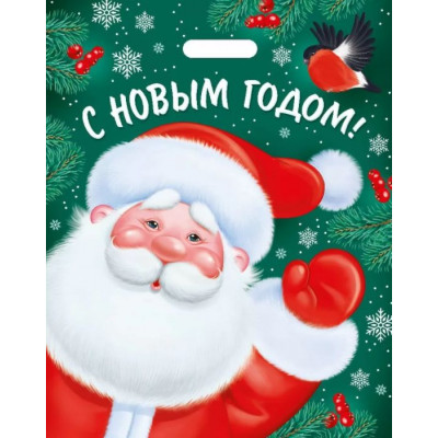 Пакет полиэтиленовый, Дед Мороз, 48*38 см, 1 шт.
